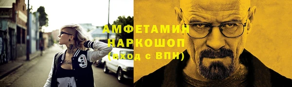 трава Корсаков