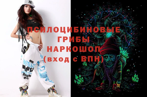 трава Корсаков