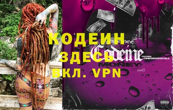 трава Корсаков