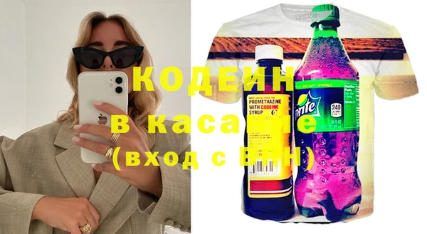 трава Корсаков