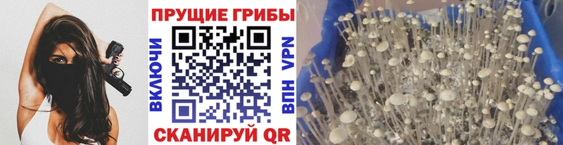 Галлюциногенные грибы мицелий  Камешково 