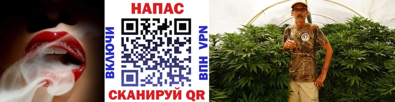 mega как войти  Камешково  Конопля SATIVA & INDICA 